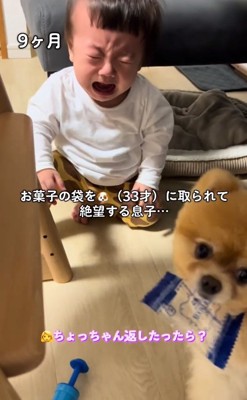 お菓子の袋をくわえるちょっちゃん