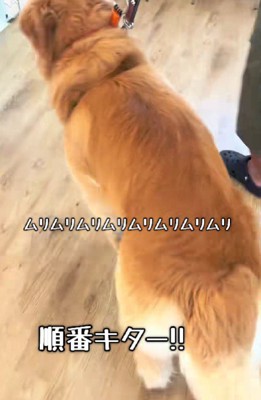 ついに順番が到来