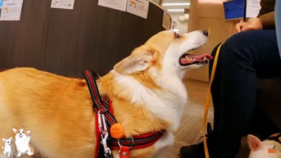 病院へきたつむぎちゃん