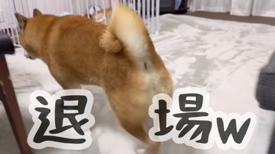 そそくさと退場