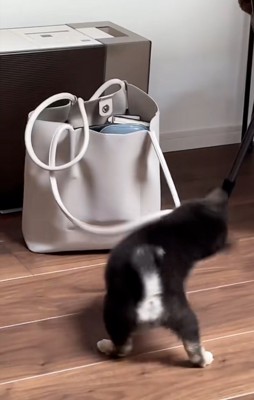 取っ手を振り回すきびくん