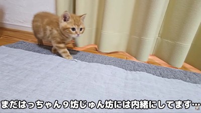 先輩たちにはまだ秘密