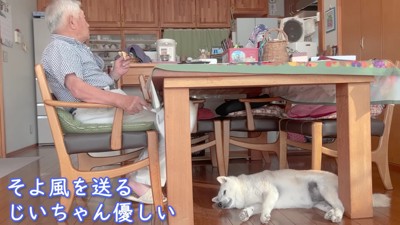 うちわで風を送るおじいちゃん