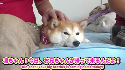 長女の凛ちゃん