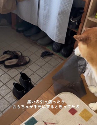 「やった！」