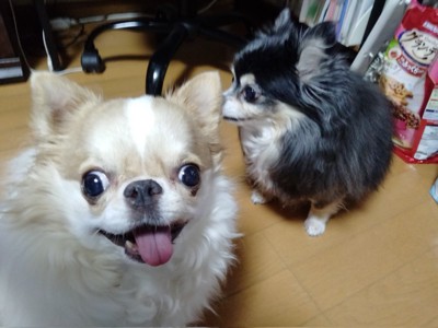 仲良し