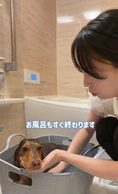 いつでも品がないとね