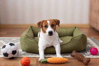 ベッドの周りにおもちゃ