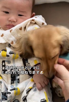 赤ちゃんと遊びたいサニーちゃん7