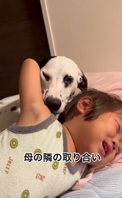 母親の隣を取り合う大型犬と子供