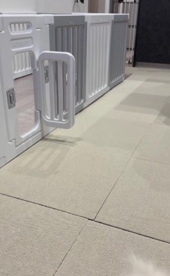 飼い主さんに頭突き