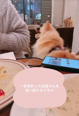 熱い視線を送り続けます