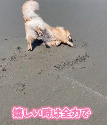 感情表現豊か!!