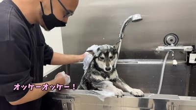 頑張って耐えています!