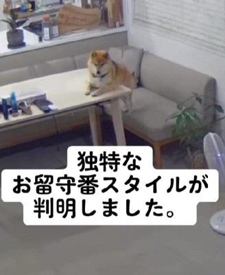 クセの強い待ち姿に爆笑