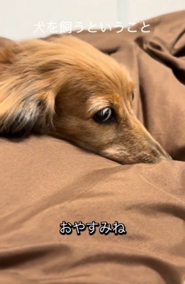 眠りにつくティナちゃん