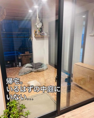 まさかの場所にいるレトちゃん