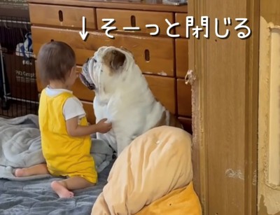 ゆっくり口を閉じる犬と子ども