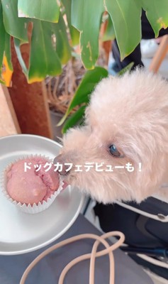 すいーぶ君の成長と変化9