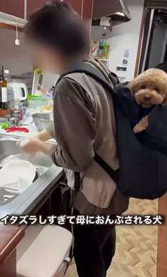 おんぶされるバッキーくん