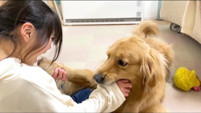 女の子に前足を噛むフリをされて驚く犬