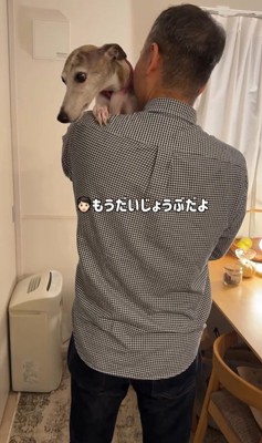 雷が鳴った時のきびちゃん8