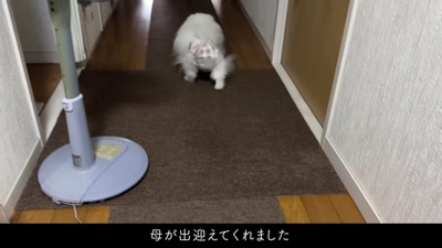 「おばあちゃん！！」