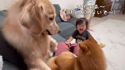 もみ合いになってしまった