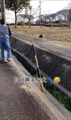 お父さんと定春くんのお散歩6