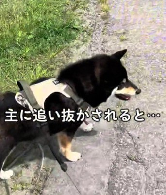 家族に抜かされたら…