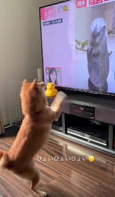 キャッチのマネ!?