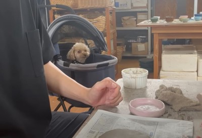 陶芸作品を作る人とカートに乗った犬