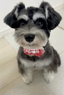 トリミングAfter