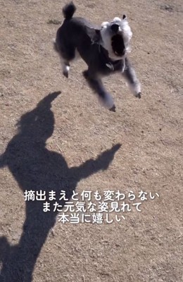 大口を開ける銀次郎くん
