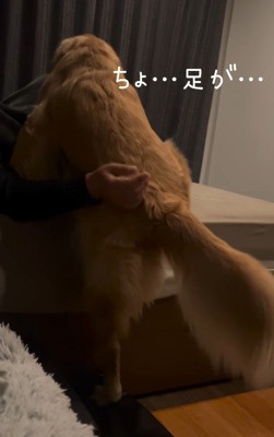 「ちょ…上がれない…」