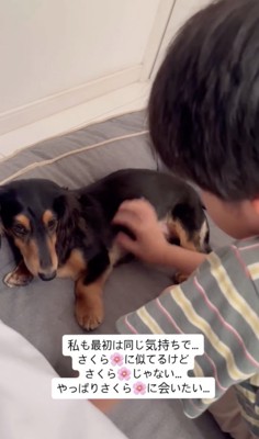 たくさん泣きました