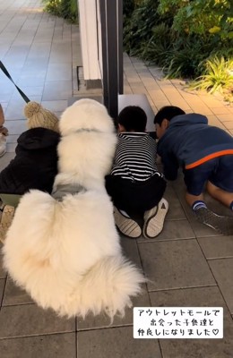 わたまるくんと子どもたち1