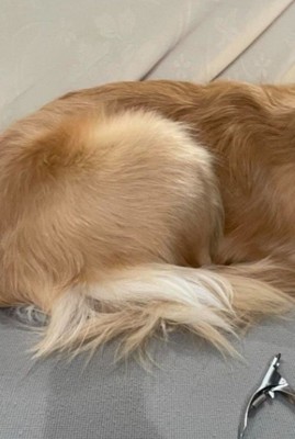 足も隠しています