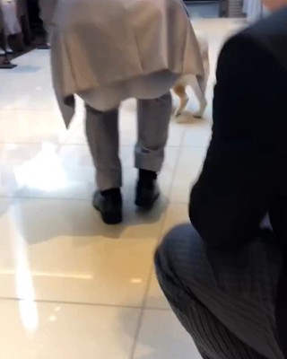 リングドッグに挑戦する豆助座衛門くん6