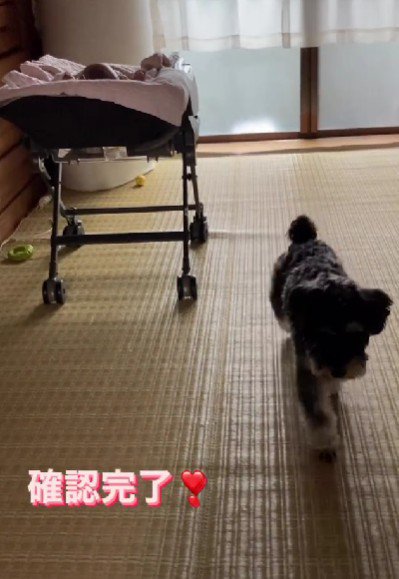 「赤ちゃん、寝てたよ!」