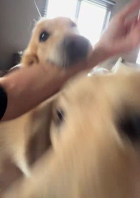 ピョンピョン跳ねて大喜び！！