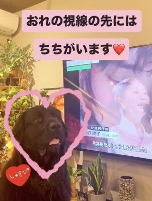 お父さんにメロメロです