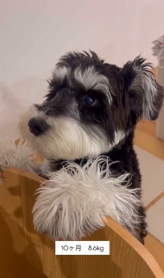 ボセくんの成長記録7