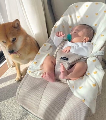 微笑ましい光景にホッコリ