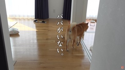 「パパはどこに行ったんだっけ…？」