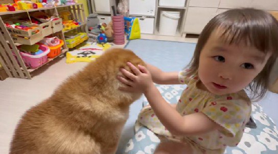 絆の深さが垣間見える