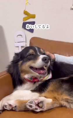 「あいしてるよ」