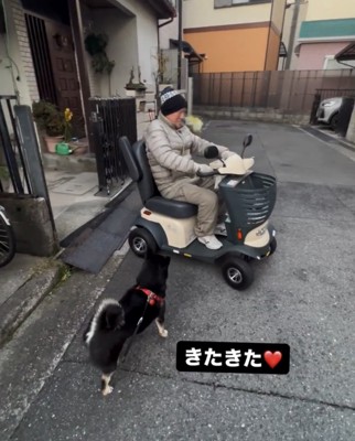 シニアカーに乗った人の前に立つ犬