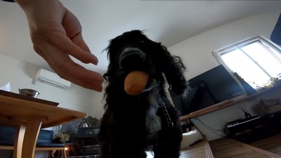 勝手におもちゃで遊び始めました!