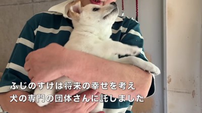 専門の団体に託すことに